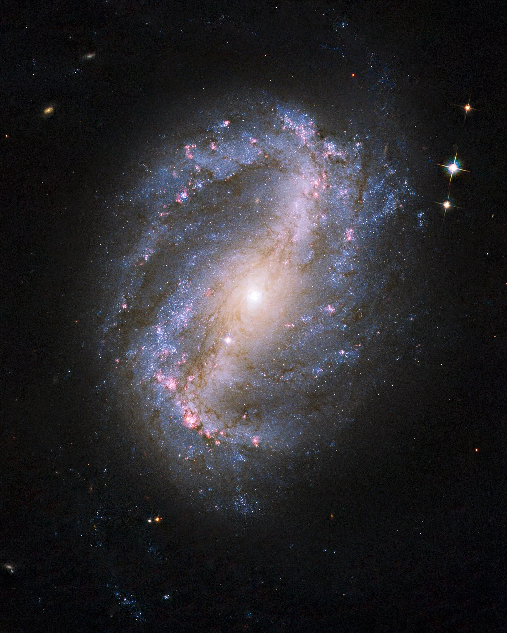 NGC-6217.webp