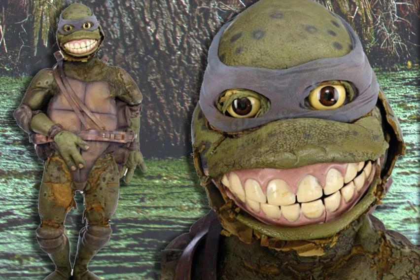 ninja-turtle.jpg