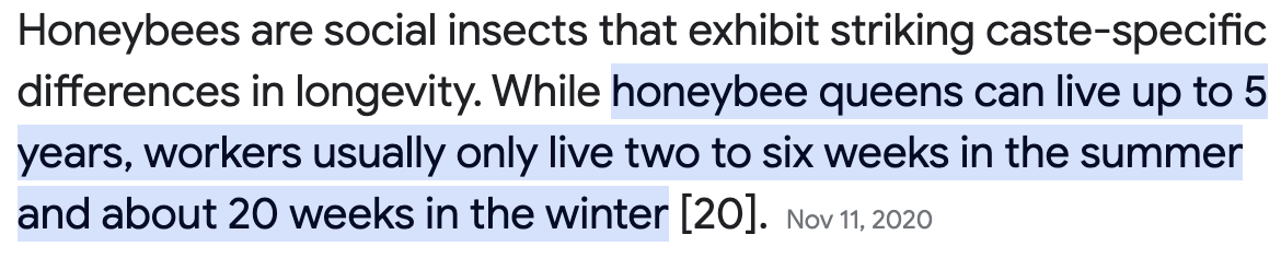 No Buzz.png