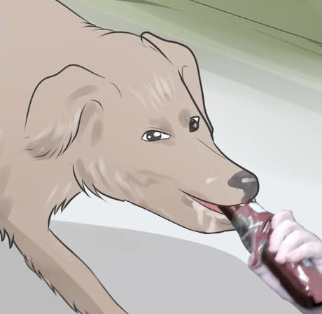 nom.jpg