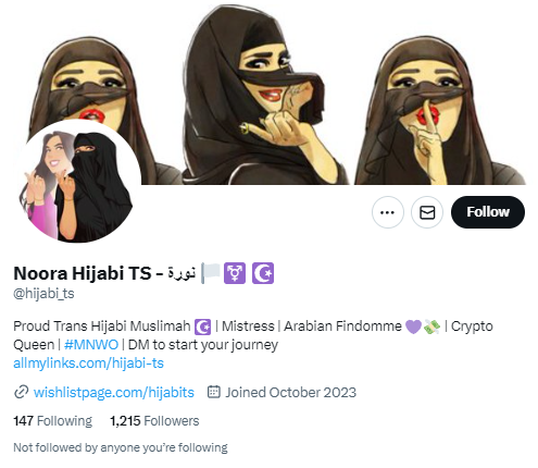 noorahijabi.png