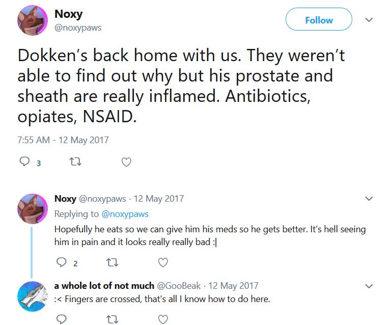 noxydrain3.png