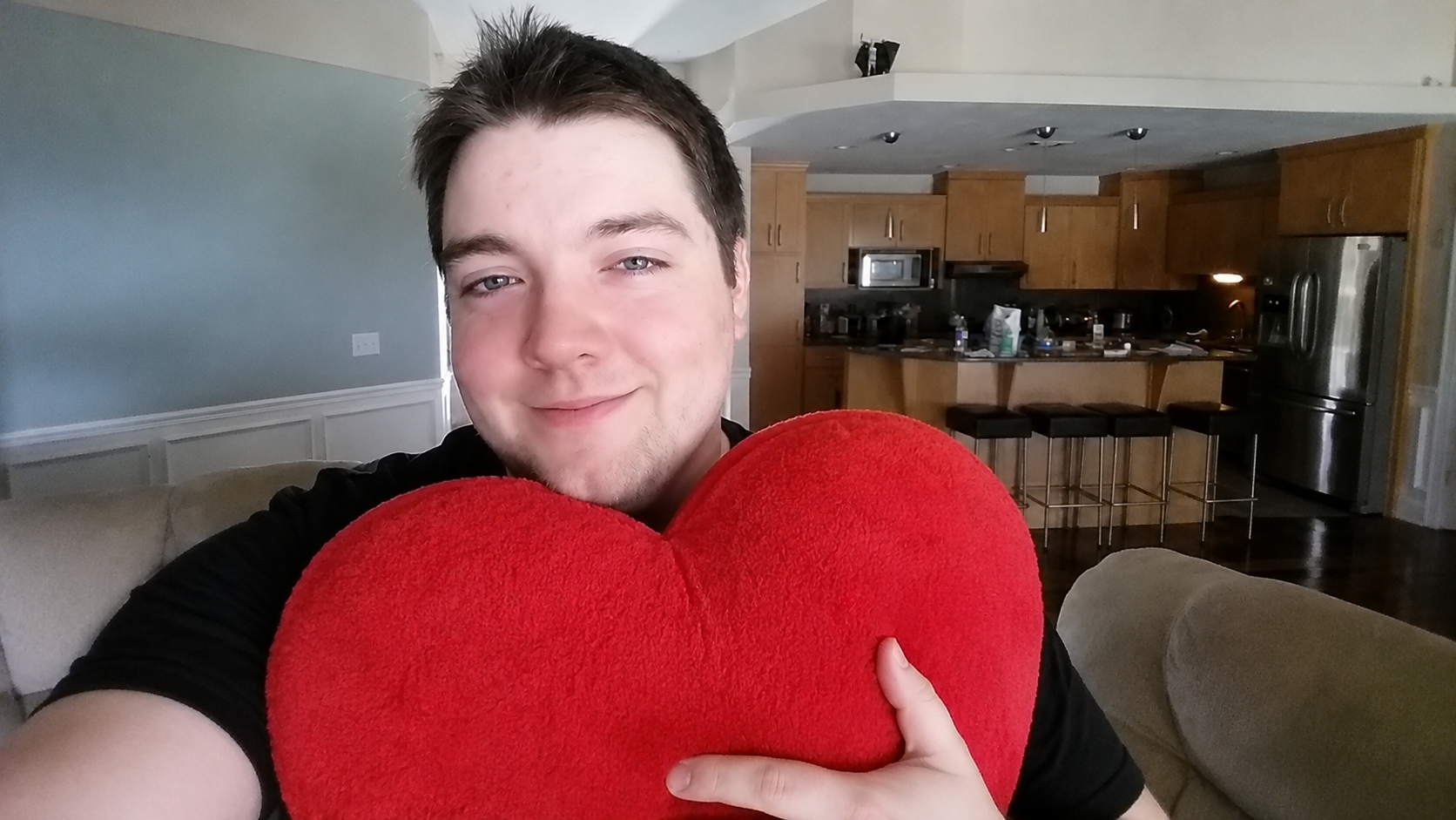 Null heart Pillow.png