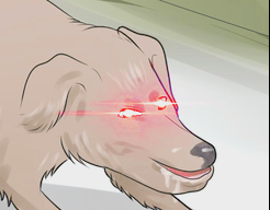 null.png