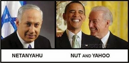 nut and yahoo.webp
