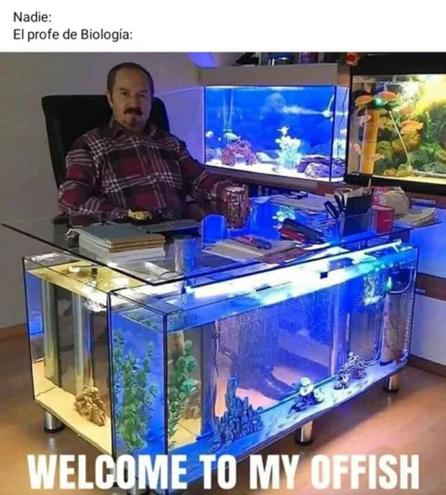 offish1678210056573264.jpg