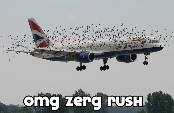omg zerg rush.jpg