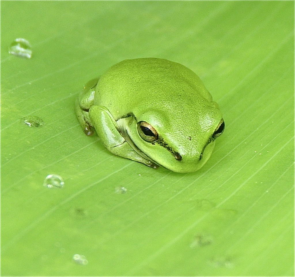P1270152_xl.jpg