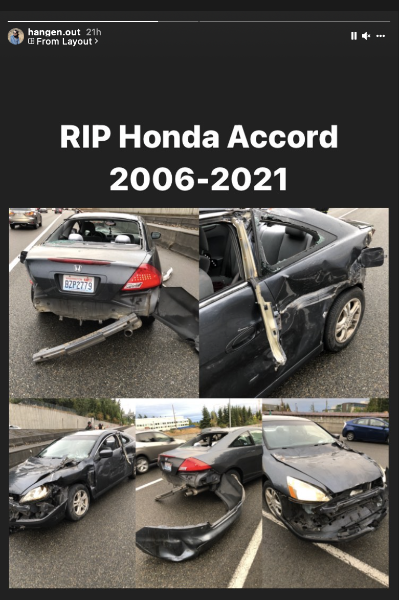 panda.png