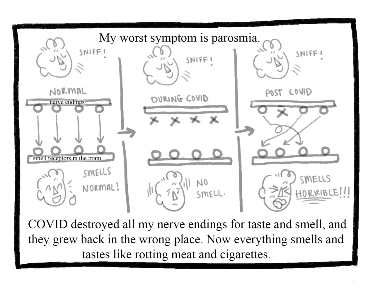 panel4.jpg