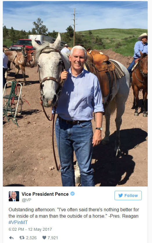 pencefuckedahorse.png