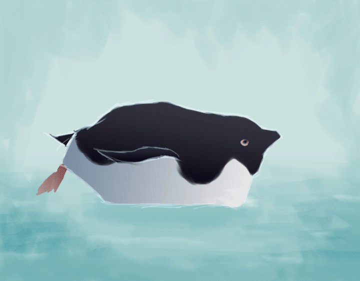 PenguinLoop.gif