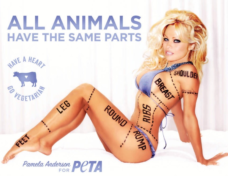 peta.jpg