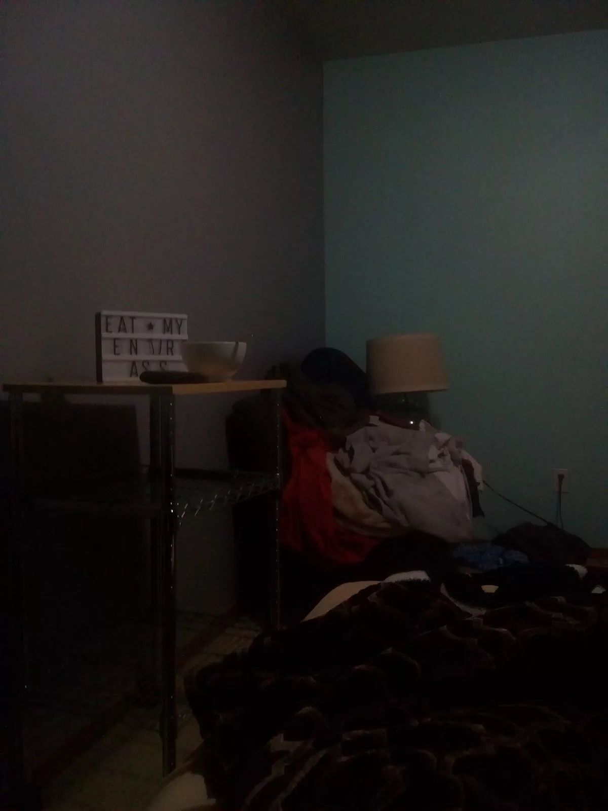 phone pics 493.webp