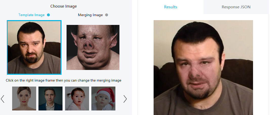 pig.png
