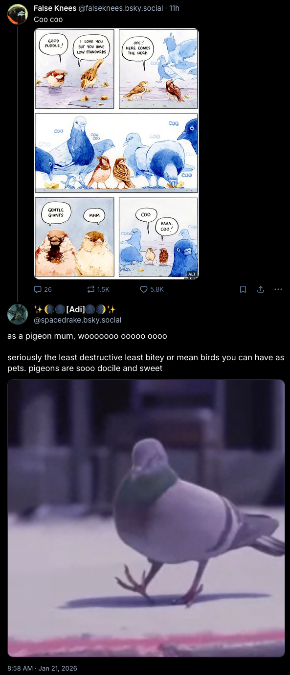 pigeonmom.png