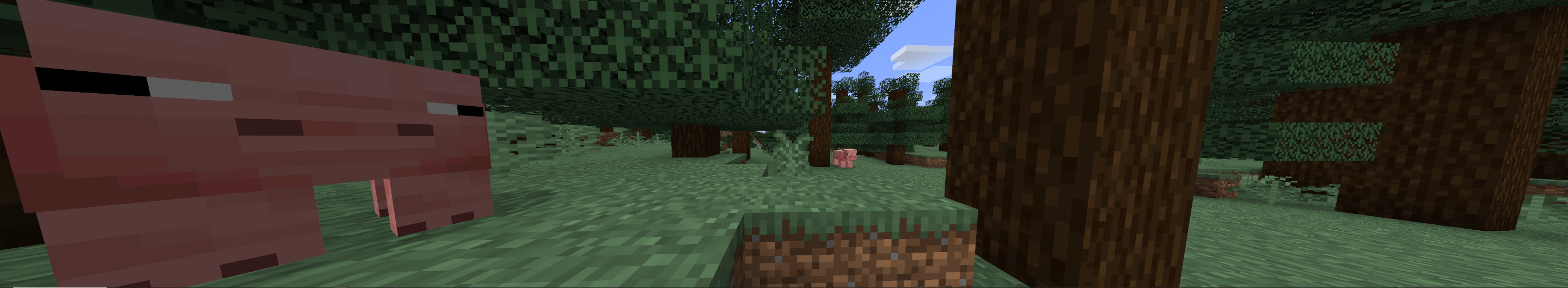 pigg.jpg