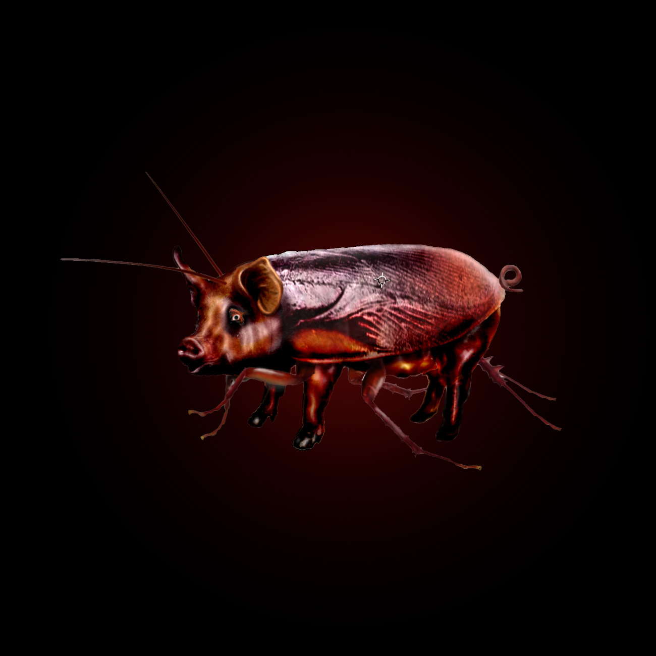 pigroach.jpg