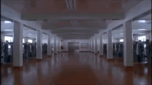 pingplz.gif