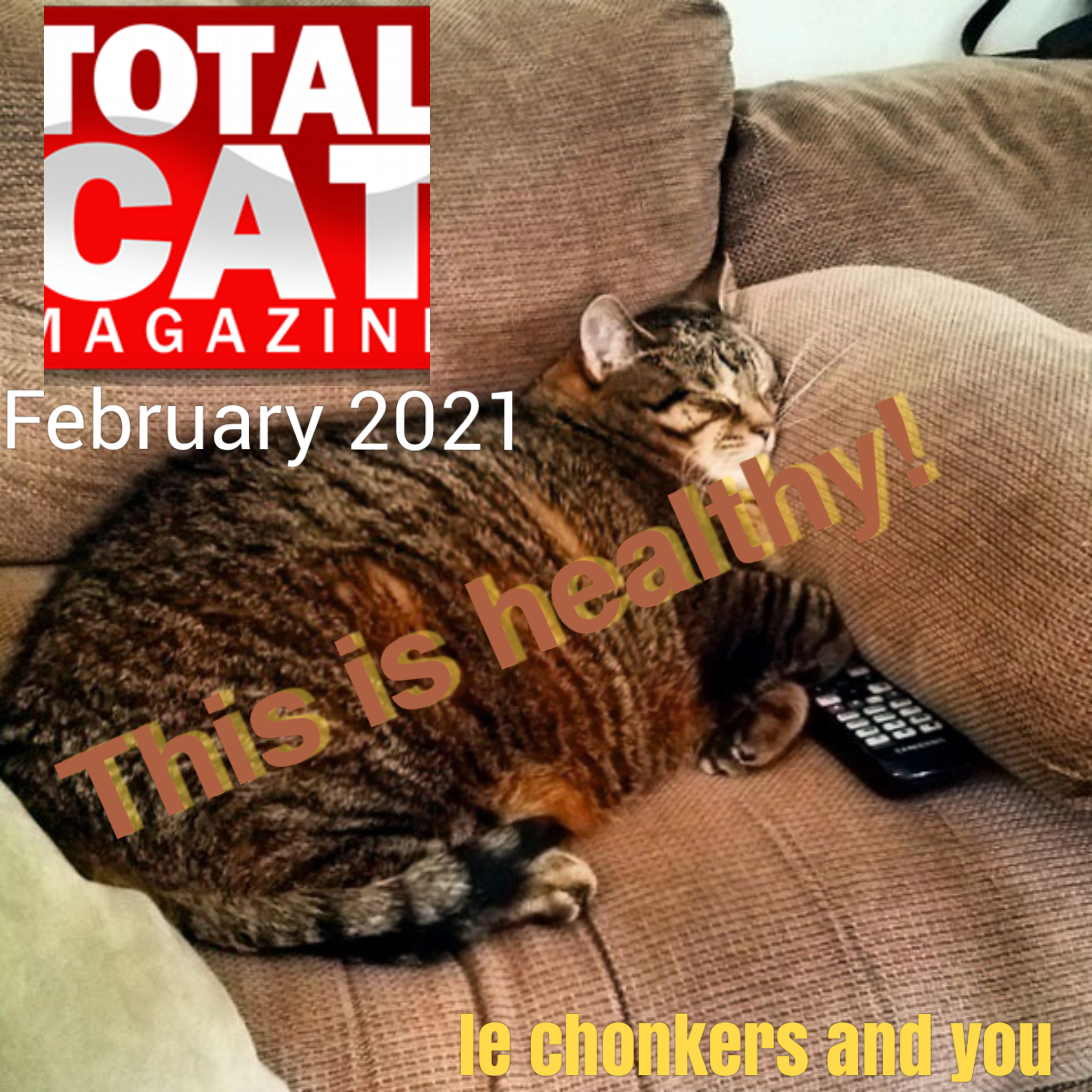 pixomatic_042021234448521.png