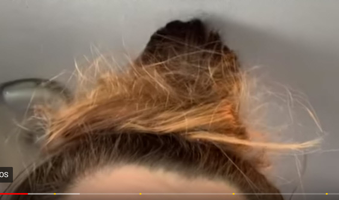 poobun.jpg
