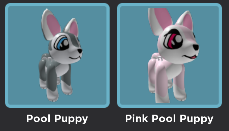 Pool Puppy In Game.png