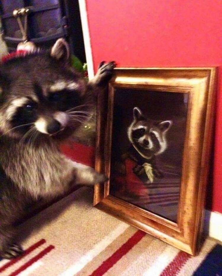portrait.jpg