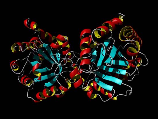 prions.jpg