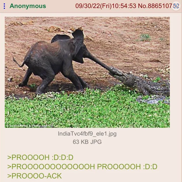 prooooooh.png