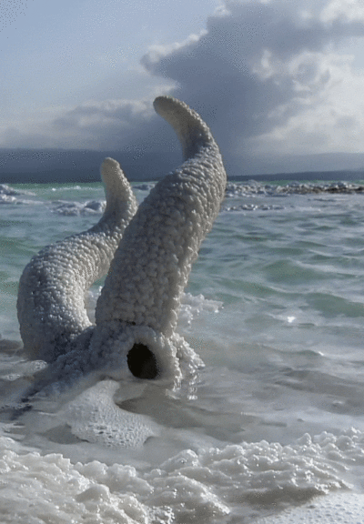 proxy-image.gif