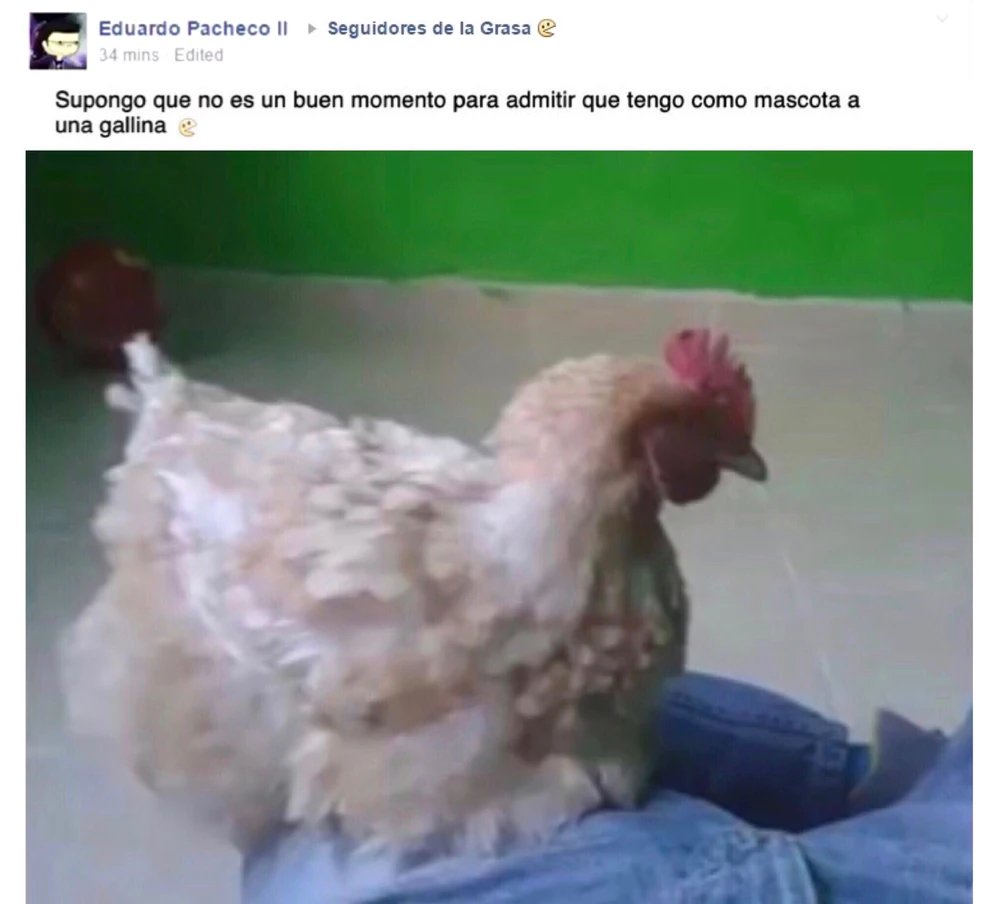 Publicaci%3Fn_de_Eduardo_Pacheco_en_SDLG.webp