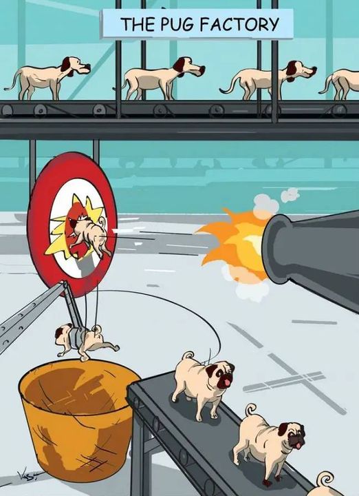 pugfactory.jpg