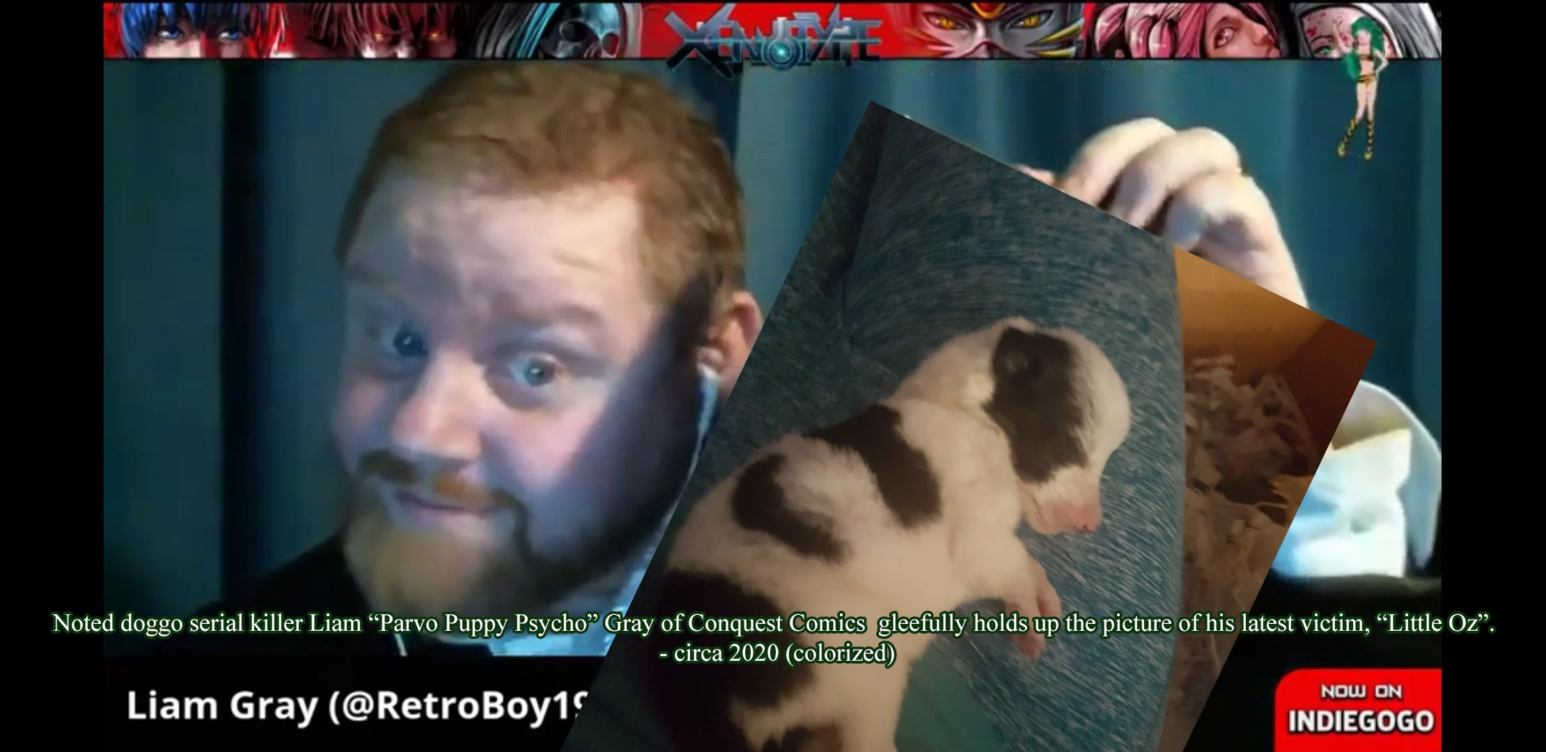 puppyparvopsycho.jpg