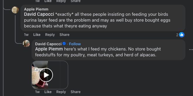 purina.png