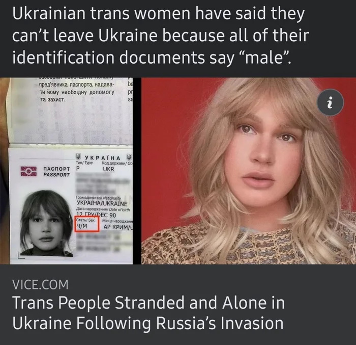 qSpmi90JFkWf.jpeg