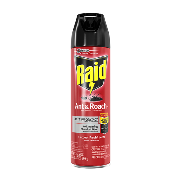 raid.png