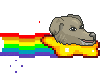 rainbowdog.gif