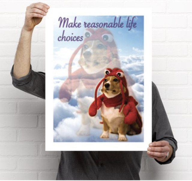 reasonable life choices.jpg