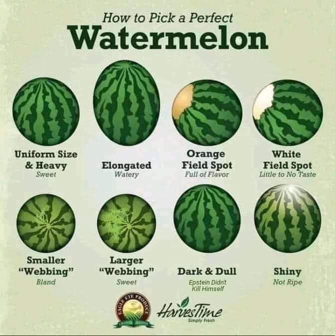 received_784569922192252.jpeg