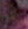 row-11-column-5.png