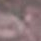 row-13-column-7.png