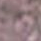 row-14-column-8.png