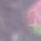 row-6-column-14.png