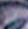 row-6-column-5.png