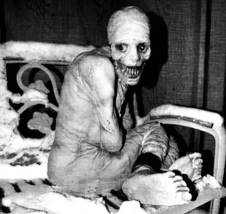 RussianSleepExperimentGuy.webp
