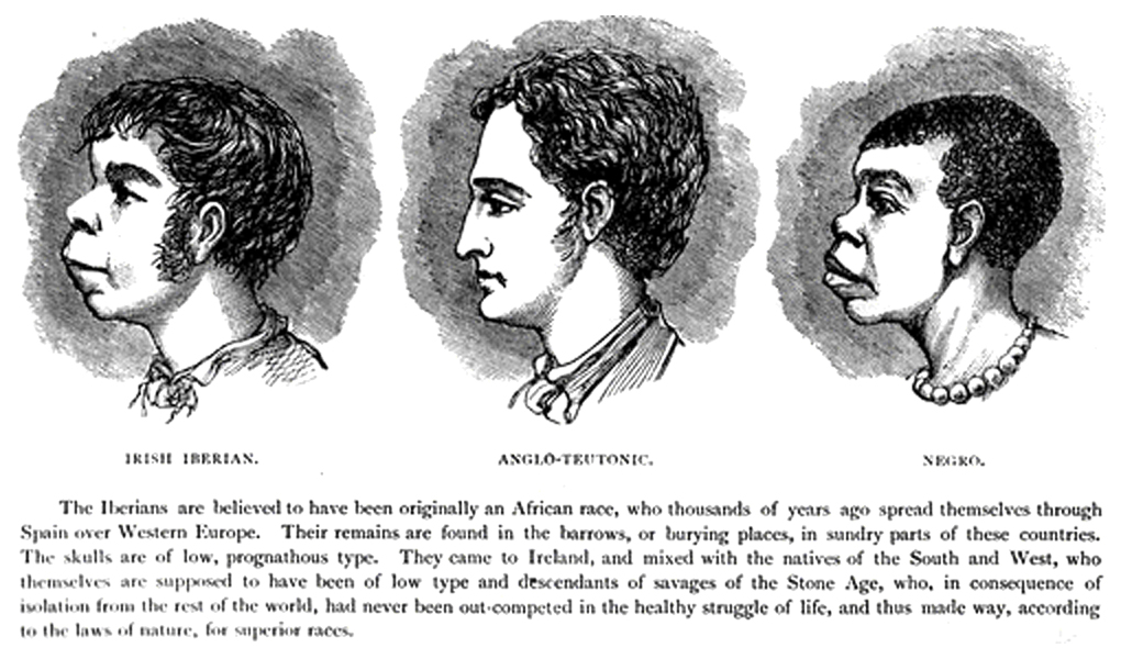 Scientific_racism_irish.jpeg