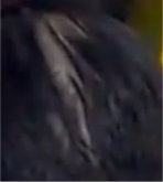screenshot(7).png