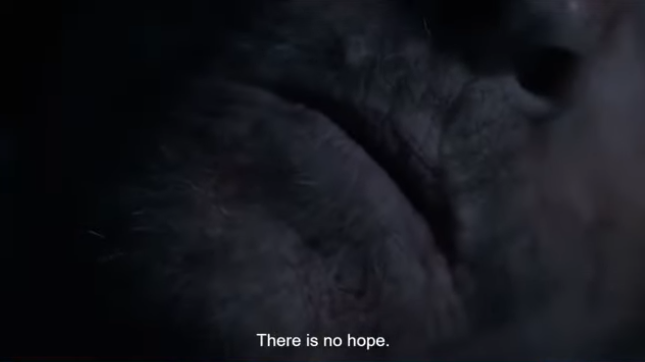 Screenshot from 2026-06-25 07-03-46.png