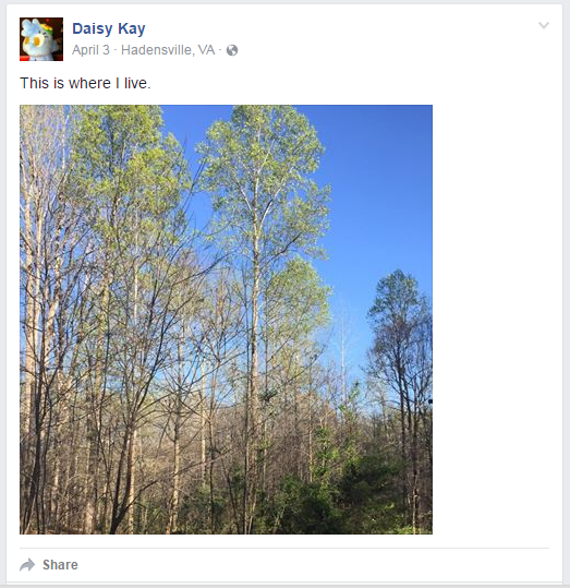 shmorkfacebook7.png