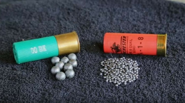 shotgun-ammo-feature-1.jpg
